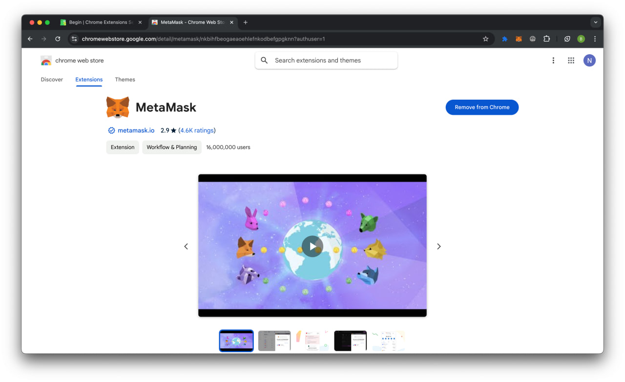 Chrome Extension Store